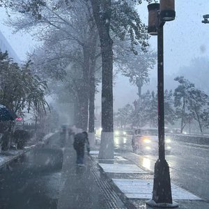 青青青视频在线免费观看
